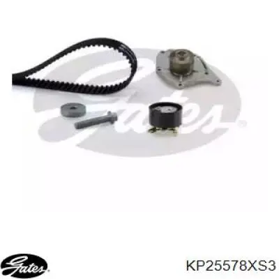 Kit de distribución 570256N Dasis