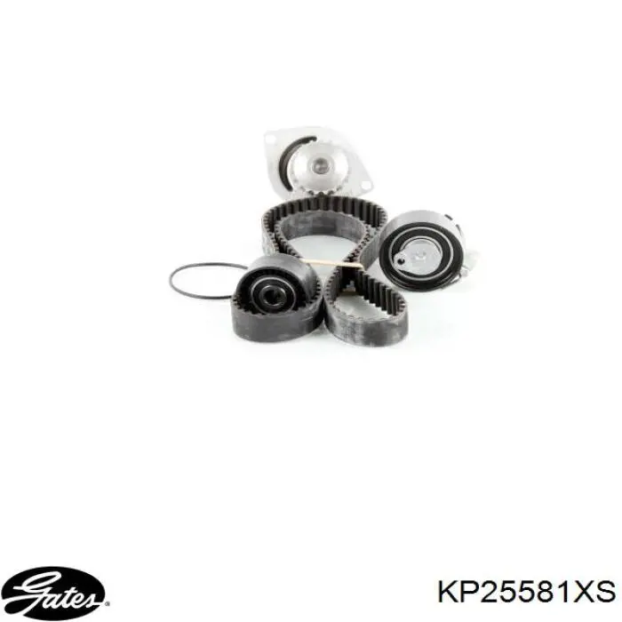 Comprar KP25581XS Gates Kit de correa de distribución