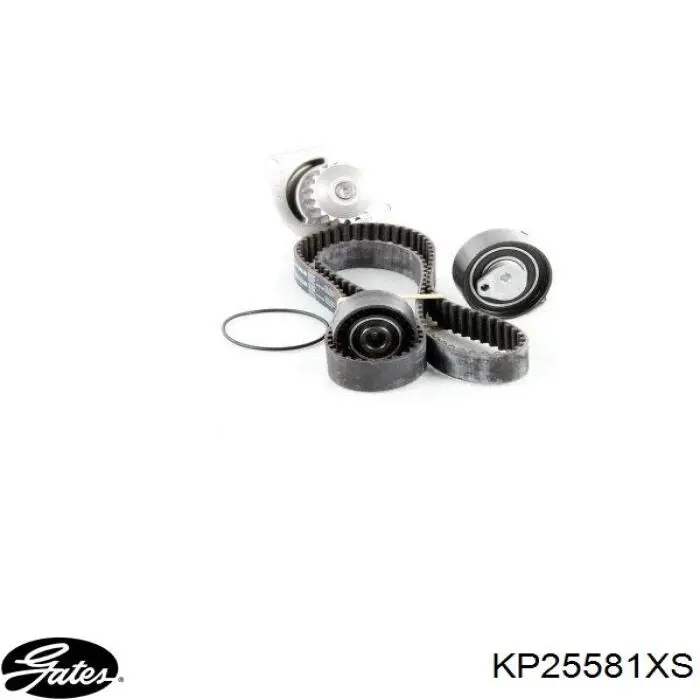 Kit de distribución KP25581XS Gates