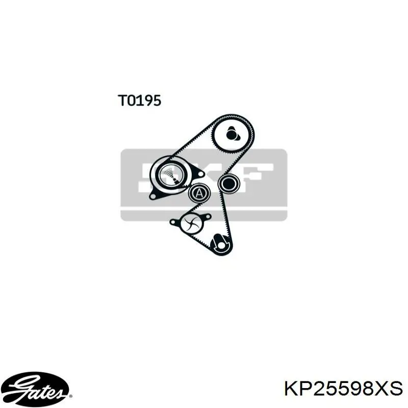 Kit correa de distribución Peugeot Partner 1 5F