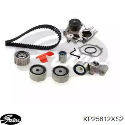 Comprar KP25612XS2 Gates Kit de correa de distribución