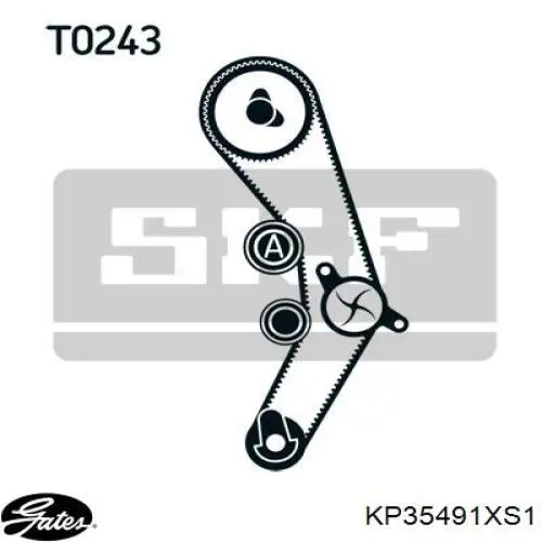 KP35491XS-1 Gates kit de correa de distribución