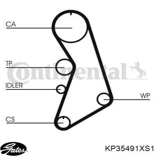 Kit de distribución CT909WP5 Continental/Siemens