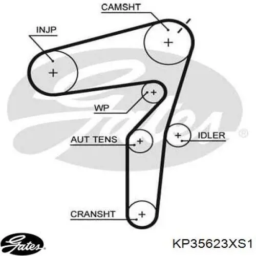 KP35623XS-1 Gates kit de correa de distribución