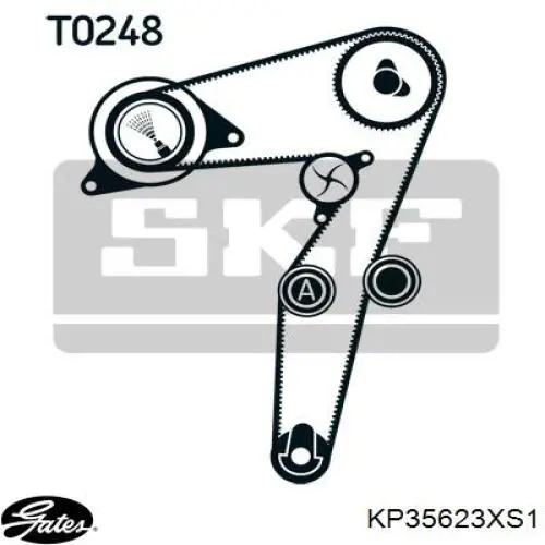 71771579 Fiat/Alfa/Lancia Kit correa de distribución