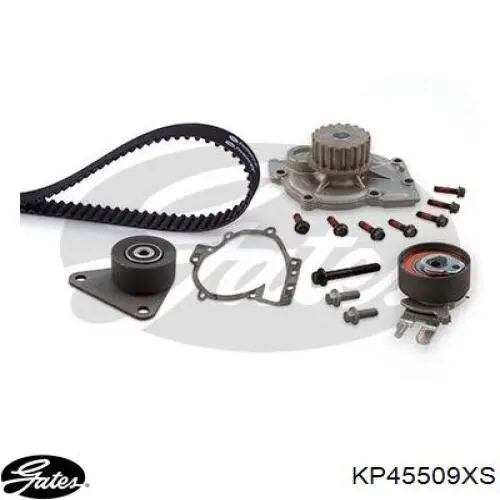 Kit distribución Gates KP45509XS
