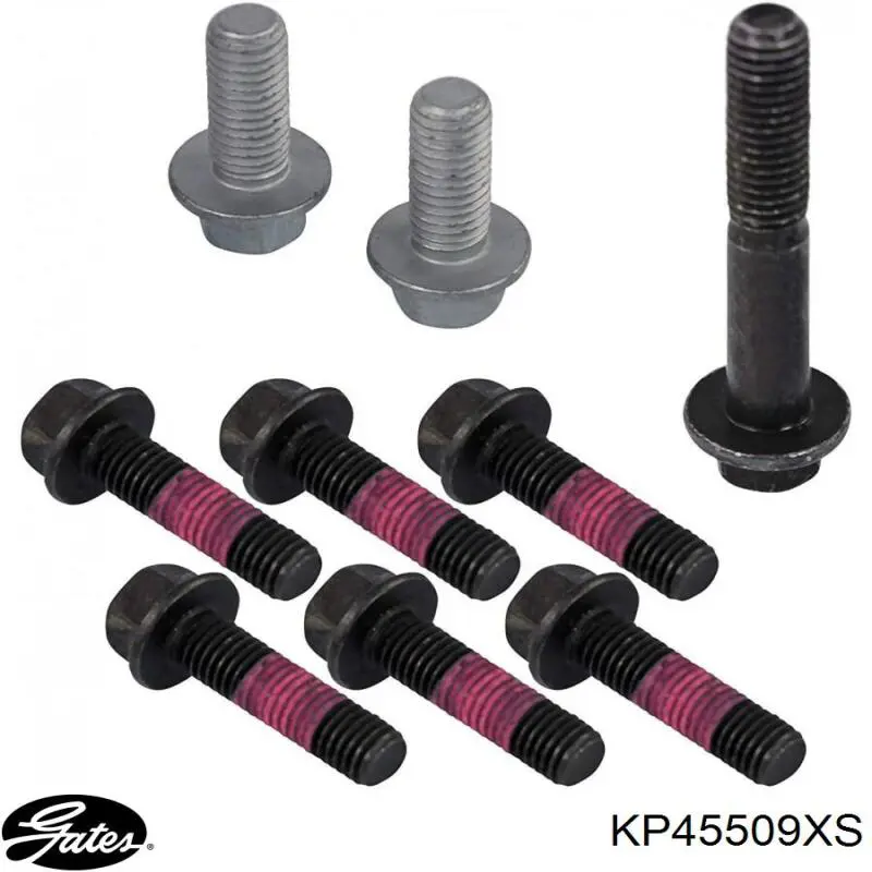 Comprar KP45509XS Gates Kit de correa de distribución