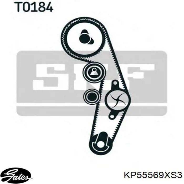 Kit distribución Gates KP55569XS3
