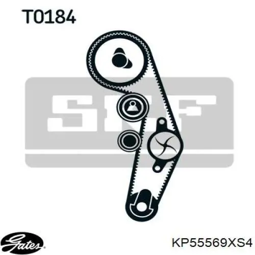 Kit distribución Gates KP55569XS4