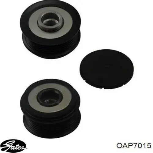 Polea rueda libre Chrysler 53013579AA precio, desde 35,24 EUR