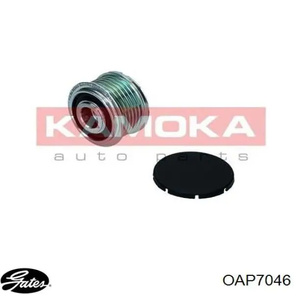 Polea alternador F00M991137 Bosch