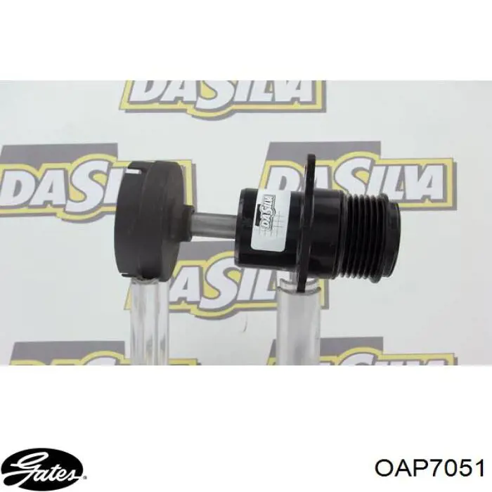 Polea alternador AP9046 Continental/Siemens