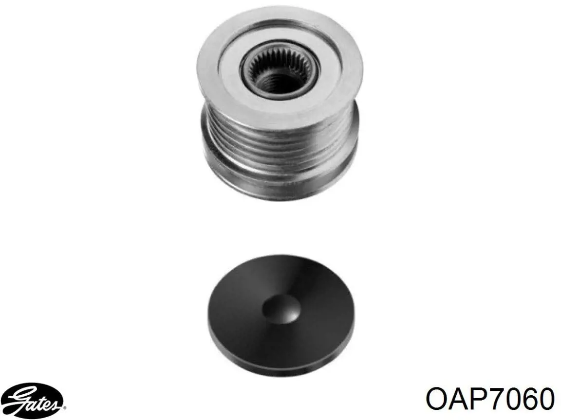 Polea alternador 541038 Ruville