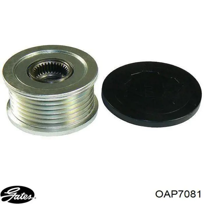 Polea alternador 535003010 LUK
