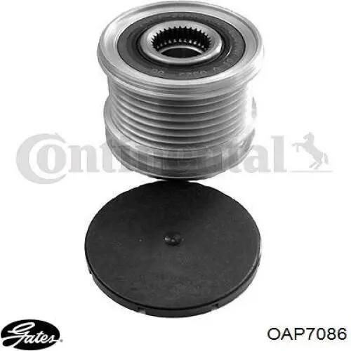 Polea de alternador Mercedes A6421500660