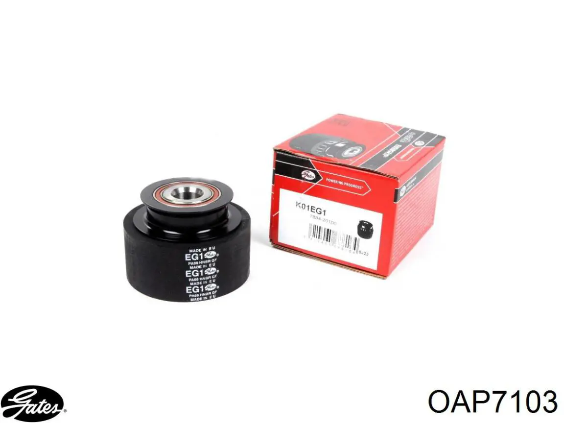 Polea de alternador VAG 06A903119