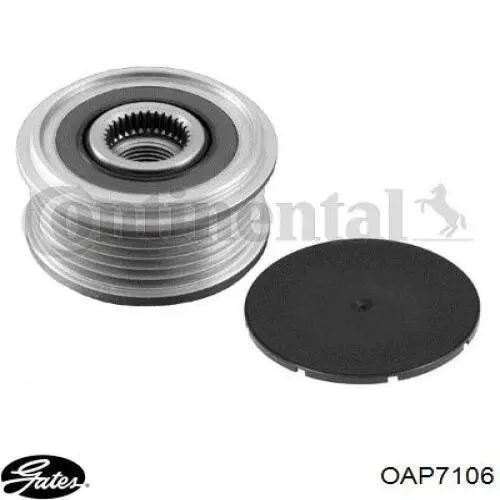 Poleas juego de piezas Renault Megane 2 LM0, LM1