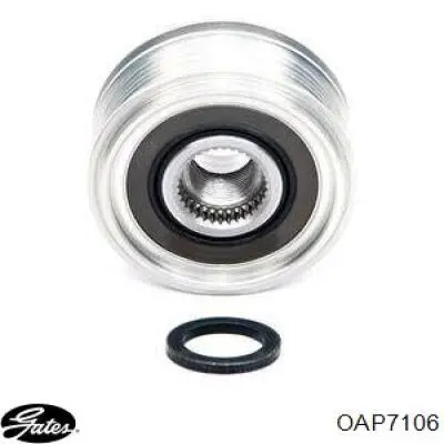 Poleas juego de piezas Renault Megane 2 LM0, LM1