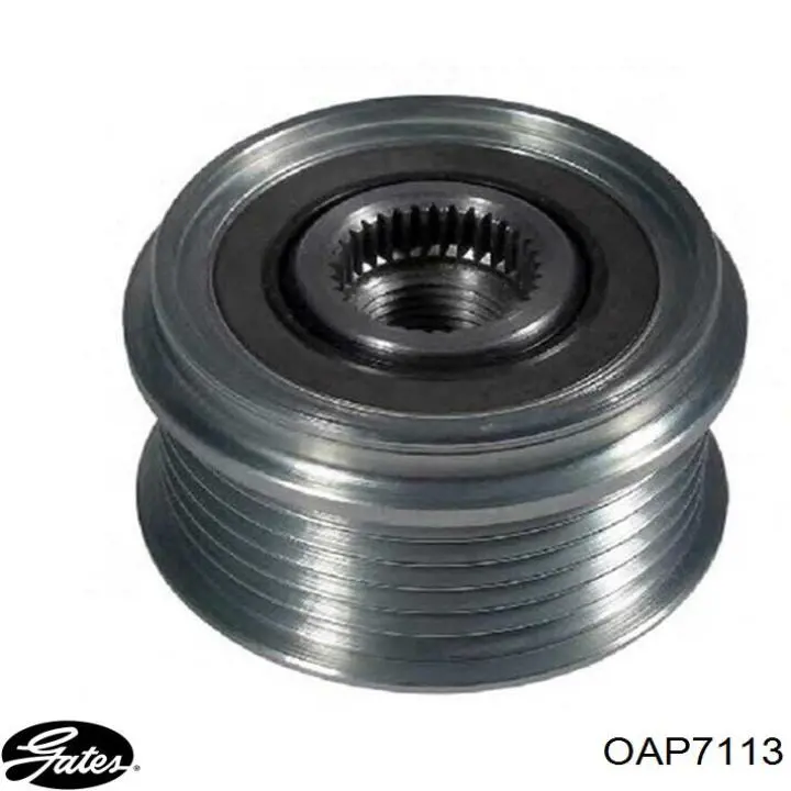 Polea rueda libre Fiat/Alfa/Lancia 555186280 precio, desde 31,76 EUR