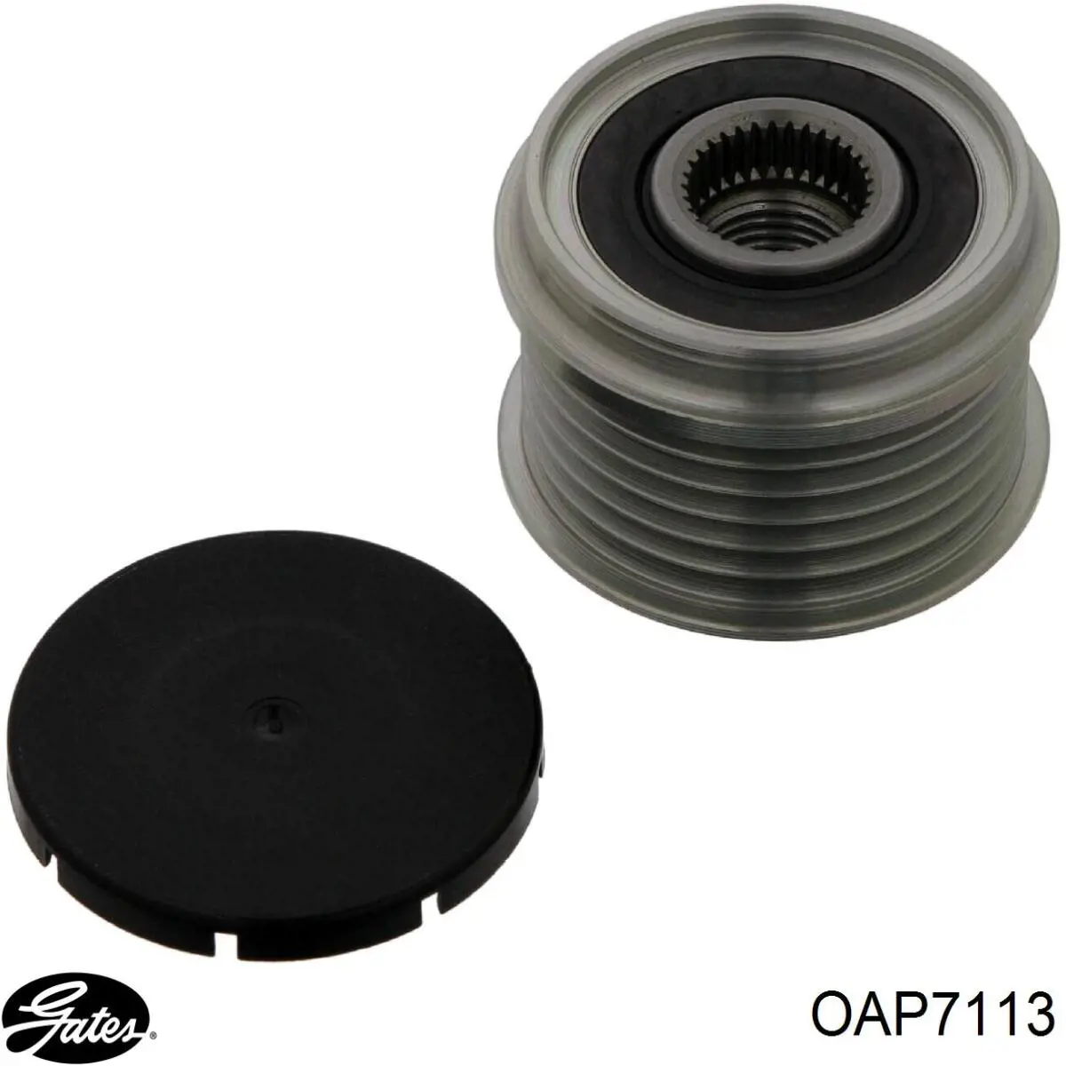 Comprar 555186280 Fiat/Alfa/Lancia Rueda libre del alternador