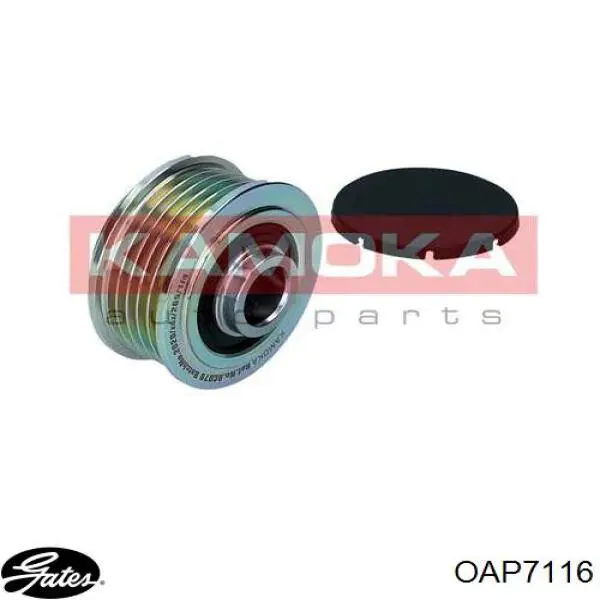 Polea alternador P0152 General Motors