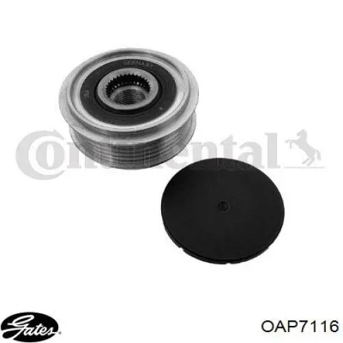 Polea rueda libre General Motors P0152 precio, desde 32,40 EUR