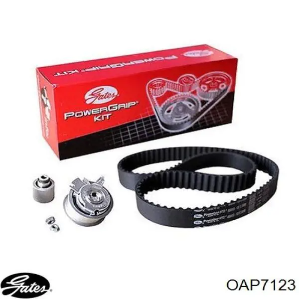 Polea rueda libre Dayco ALP2388 precio, desde 44,64 EUR