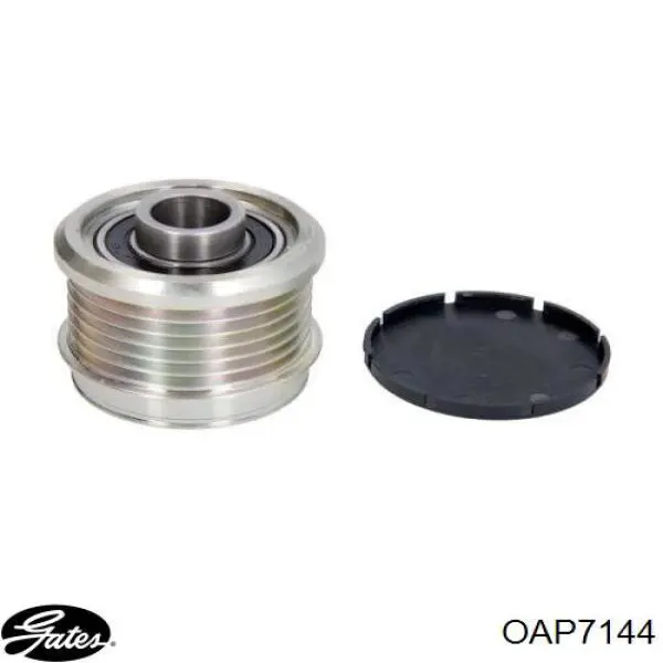 Polea de alternador General Motors 55567951