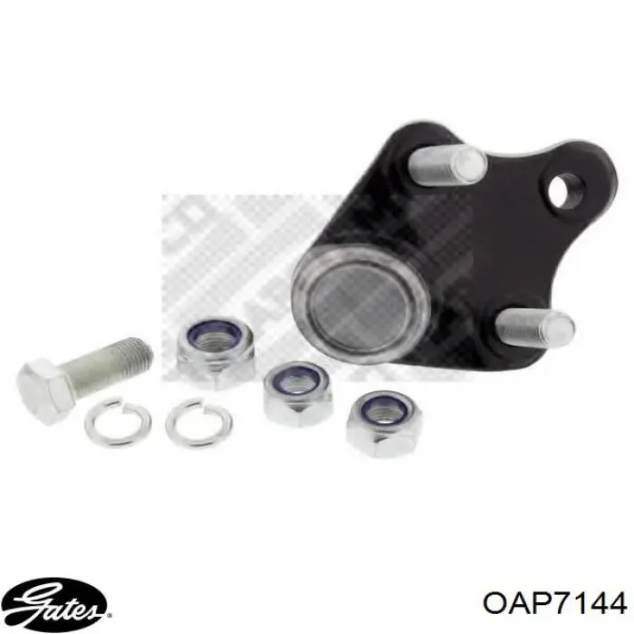 55567951 General Motors Rueda libre alternador 