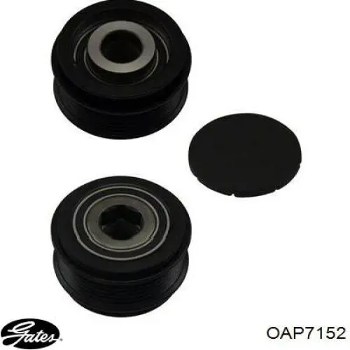 Polea rueda libre Febi 101770 precio, desde 37,41 EUR