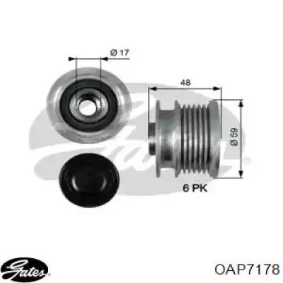 Polea alternador 55565443 General Motors