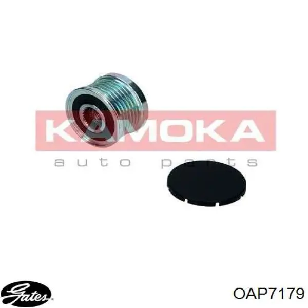 Comprar 23151JD20A Nissan/Infiniti Rueda libre del alternador