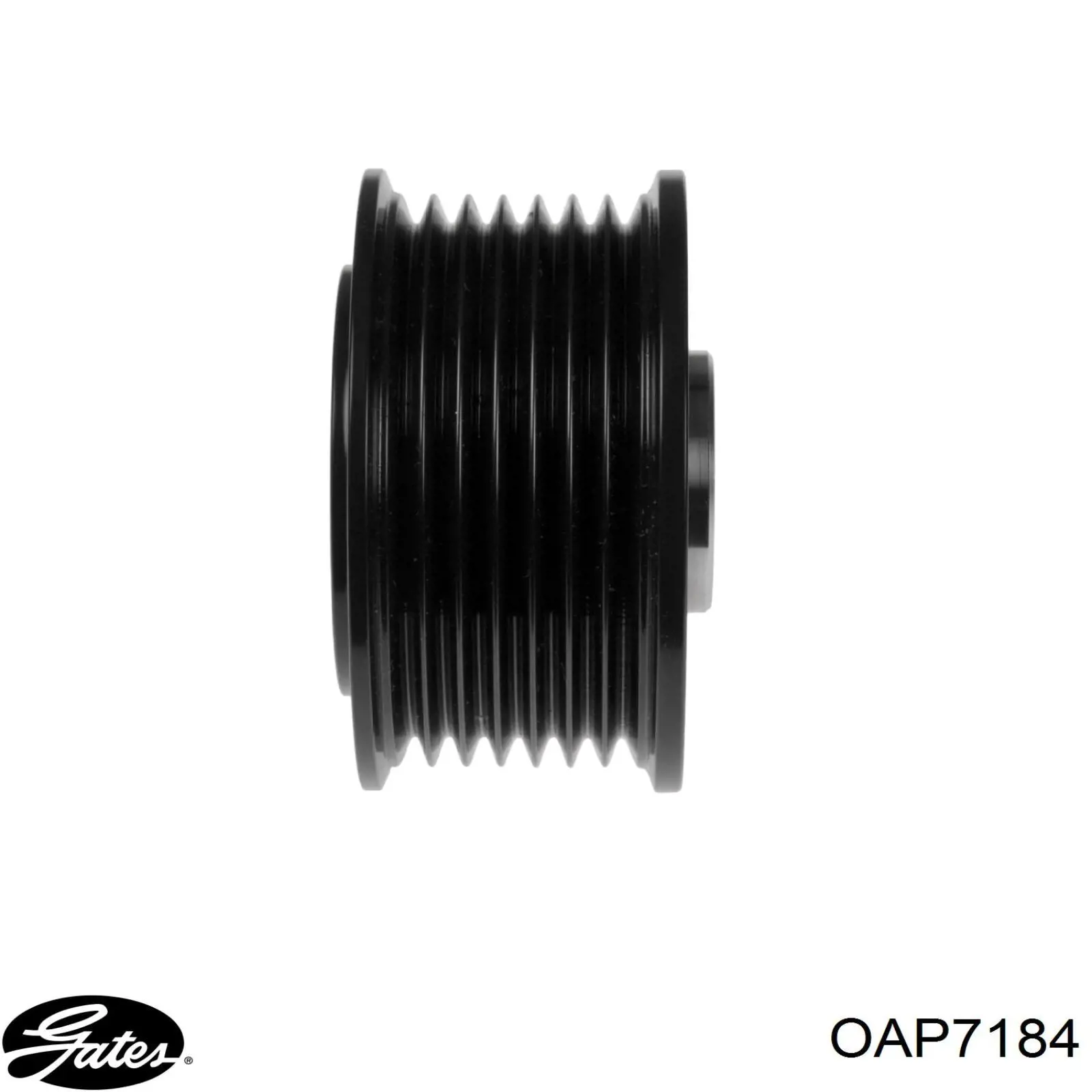 Polea alternador ZN5598 ERA