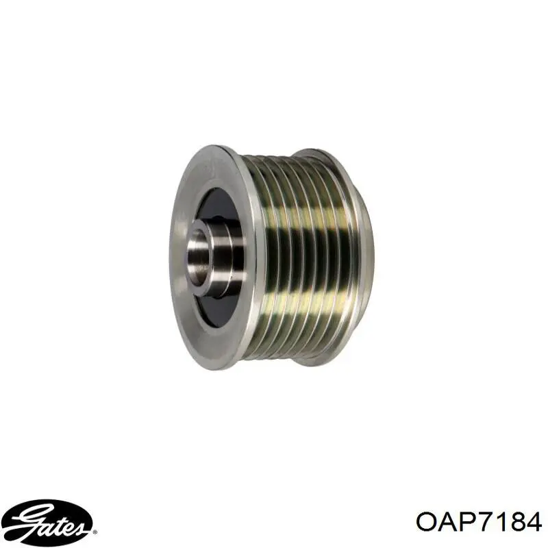 Comprar ZN5598 ERA Rueda libre del alternador