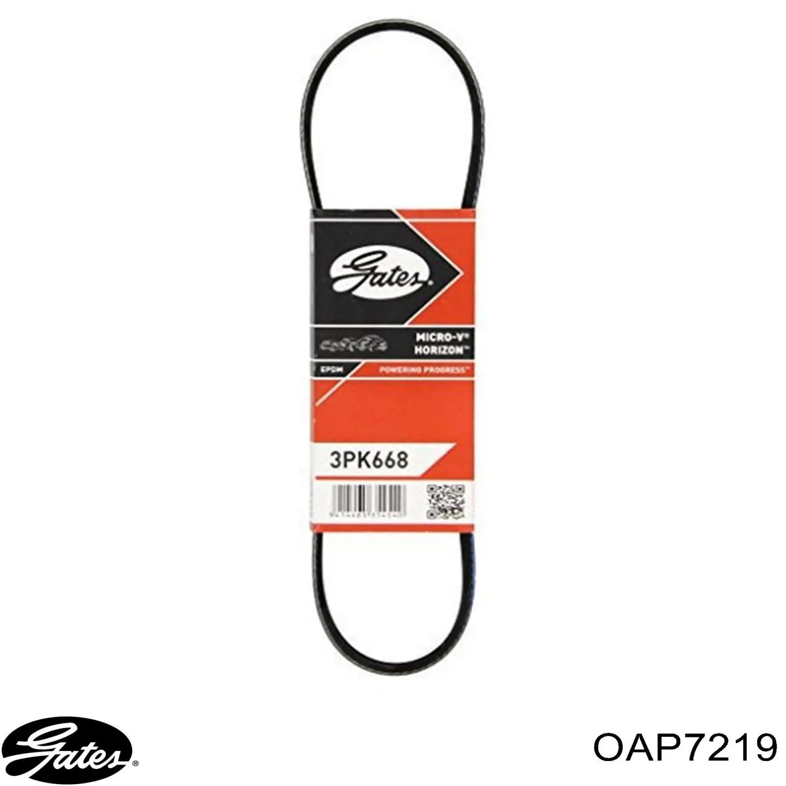 Comprar OAP7219 Gates Rueda libre del alternador