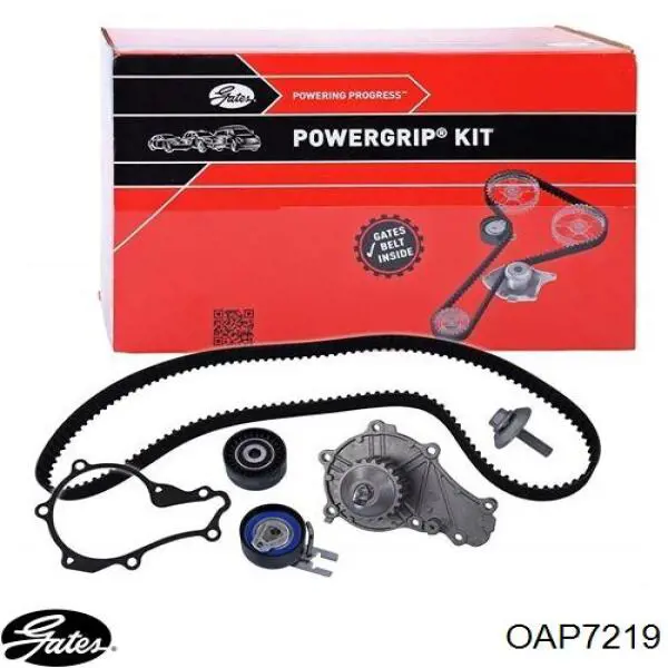 Polea alternador OAP7219 Gates