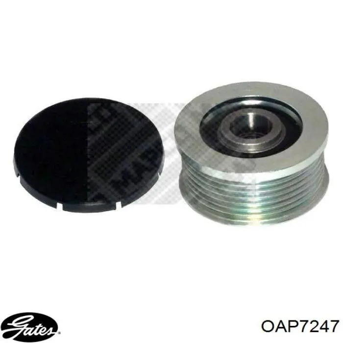 Comprar 33105415 Swag Rueda libre del alternador