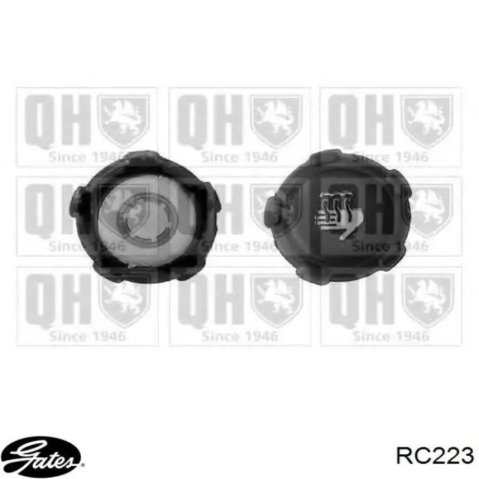 Tapón de expansión de refrigerante/anticongelante Nissan Qashqai 2 J11