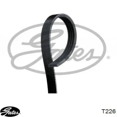 Comprar CT1102 Continental/Siemens Correa distribución