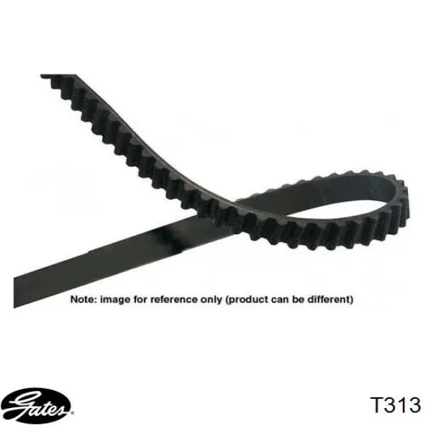 Comprar T313 Gates Correa distribución
