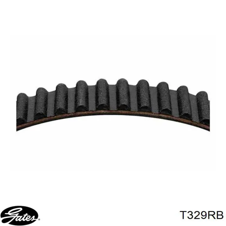 Comprar T329RB Gates Correa distribución