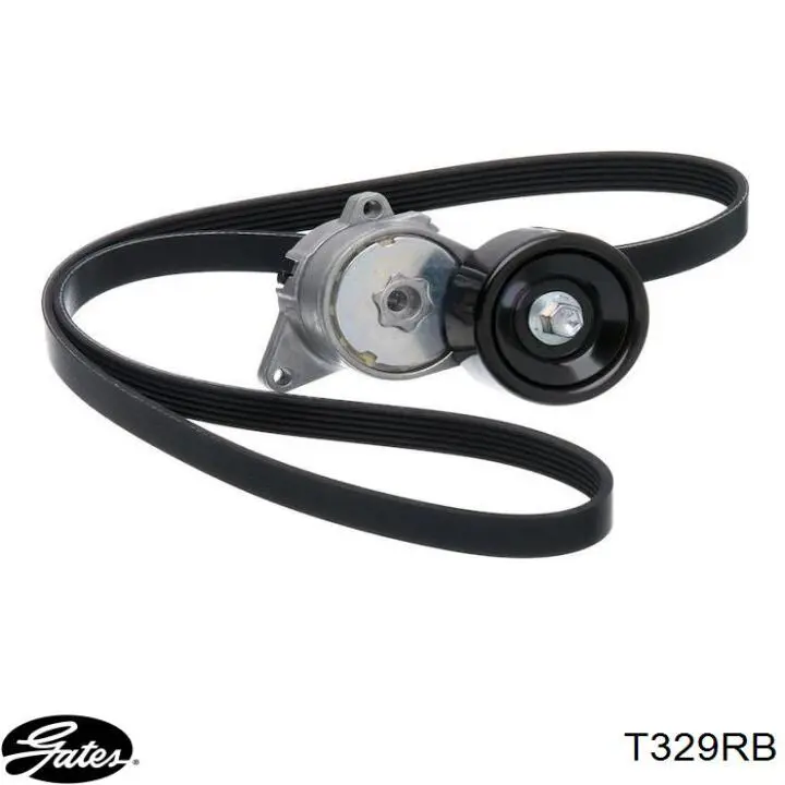 Correa distribución T329RB Gates