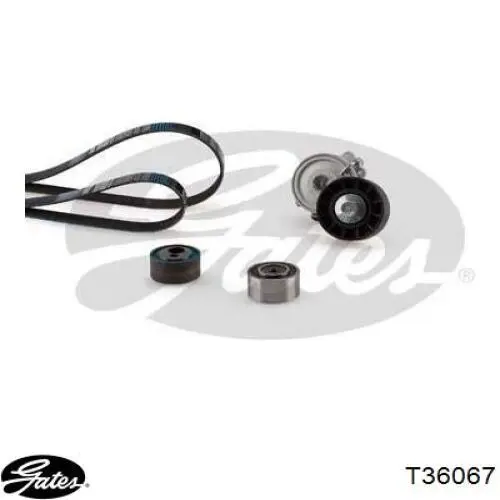 Rodillo tensor correa poli V Peugeot/Citroen 1613837780 precio, desde 20,43 EUR