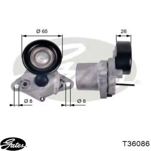 Rodillo tensor correa poli V Gates T36086 precio, desde 19,31 EUR