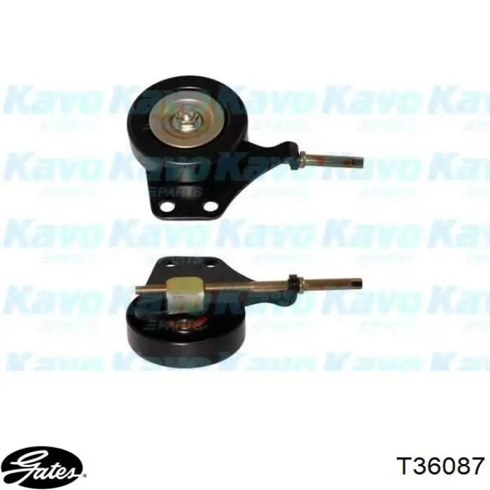 Comprar T36087 Gates Polea tensora, correa poli V
