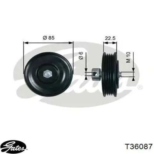Polea tensora correa poli V T36087 Gates