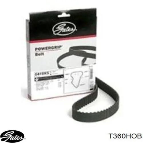 1987946805 Bosch Correa dentada