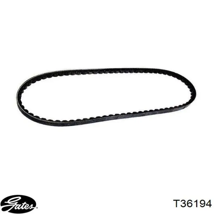 Comprar T36194 Gates Polea inversión/guía, correa poli V