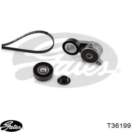 Polea inversión / guía, correa poli V 1134084 Ford