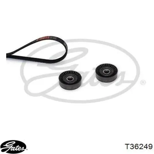 Comprar T36249 Gates Polea tensora, correa poli V